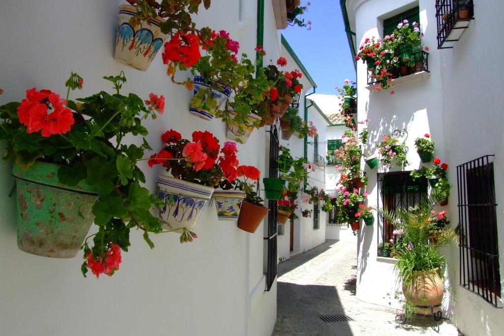 Casa Olea Priego de Córdoba Exterior foto
